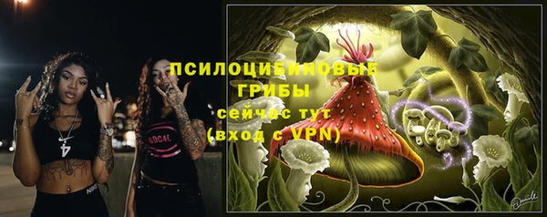 мескалин Алексин