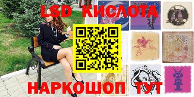 spice Новозыбков