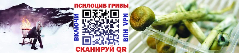 Галлюциногенные грибы Cubensis  Чистополь 