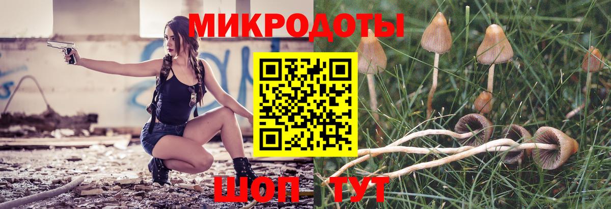 Чистополь  Псилоцибиновые грибы Magic Shrooms  даркнет сайт  Вход с VPN 